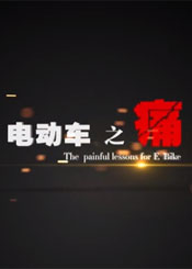电动车之痛