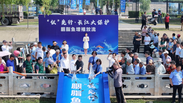 QQ20250605-153147.png