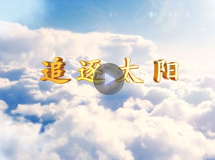 追逐太阳