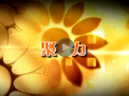 春华秋实竟风流