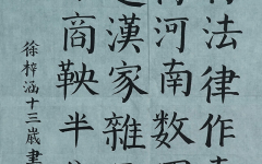 《不将法律作春秋》+生态科技岛小学++徐梓涵+优秀奖.jpg
