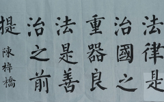 《法制中国》+致远外国语小学分校+陈梓桥+优秀奖.jpg