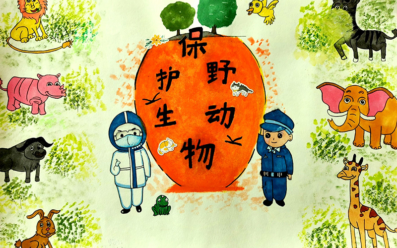 保护野生动物溧水区司法局漫画.jpg